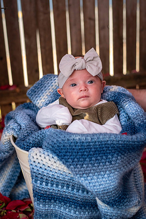 Aria 5 weeks old