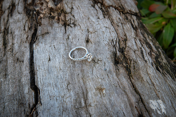 Becca and Ryan Engagement Session