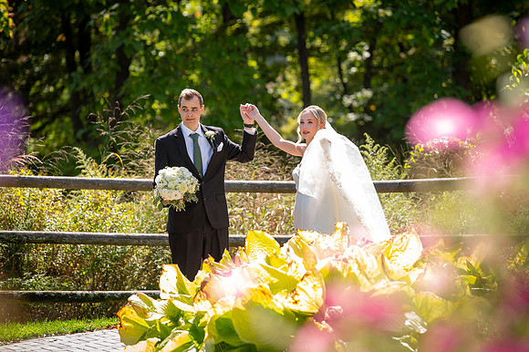 Wedding Day