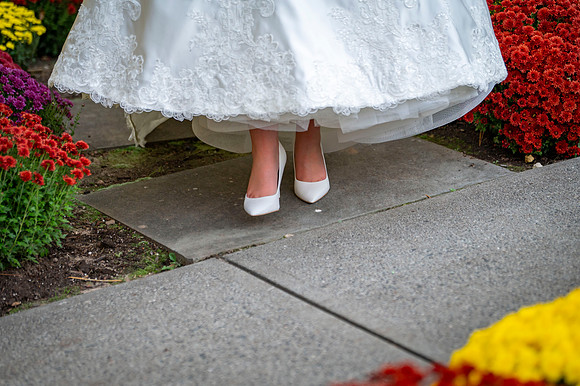 Wedding Day