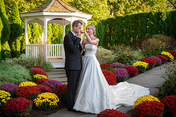 Wedding Day