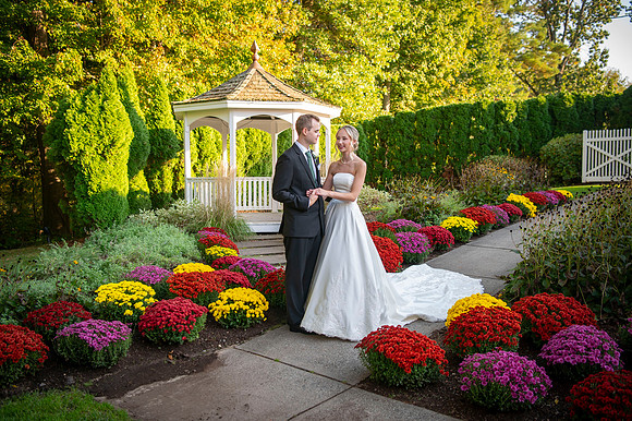 Wedding Day