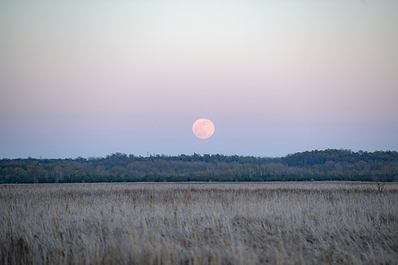 Moon rising