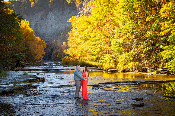 Engagement Portraits