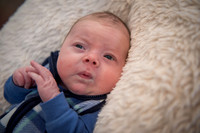 Owen William