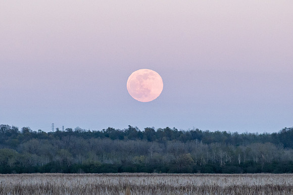 Moon rising