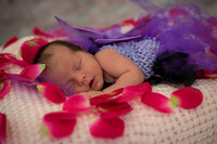Emily 12 days old