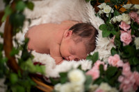 Savana 10 days old