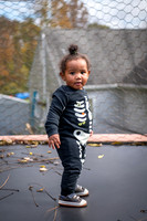 Jakob One Year