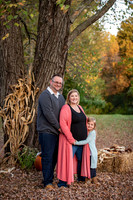 Nikki Chris Harper and Baby boy 8 months