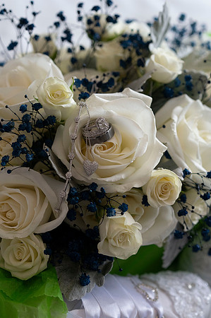 Glen Island Wedding