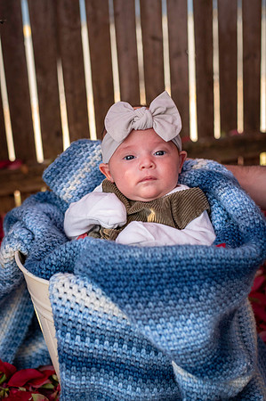 Aria 5 weeks old
