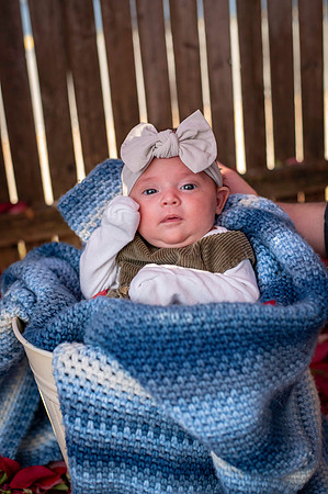 Aria 5 weeks old