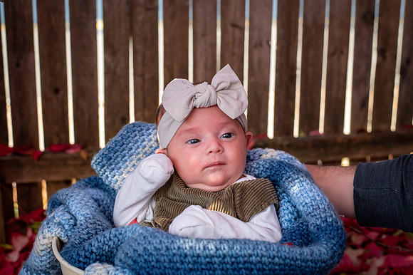 Aria 5 weeks old
