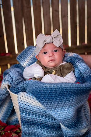 Aria 5 weeks old