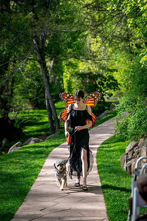 Boulder CO