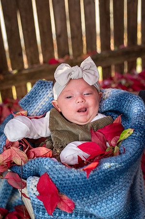 Aria 5 weeks old