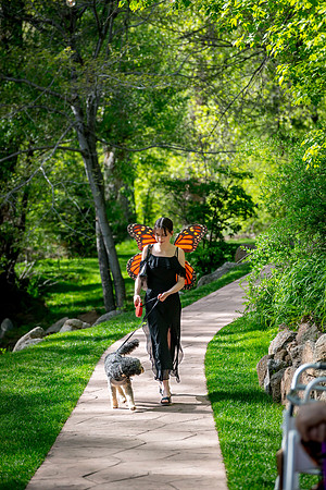 Boulder CO