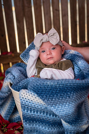 Aria 5 weeks old