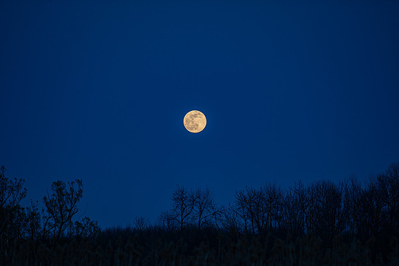 Moon rising