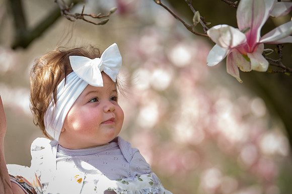 Spring Portraits