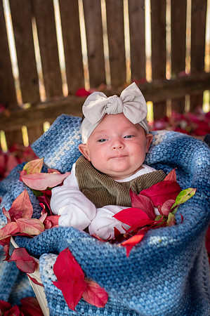 Aria 5 weeks old
