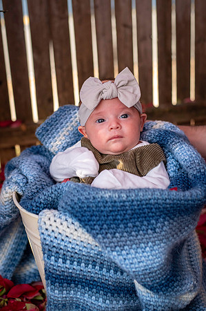 Aria 5 weeks old