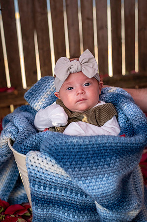 Aria 5 weeks old