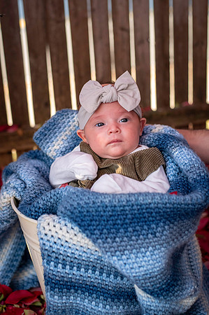 Aria 5 weeks old