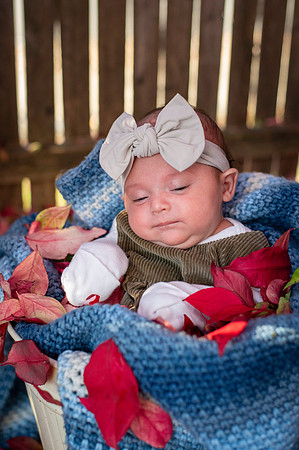 Aria 5 weeks old