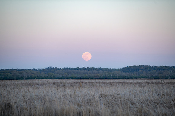 Moon rising