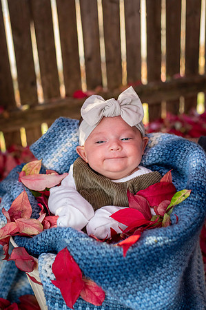 Aria 5 weeks old