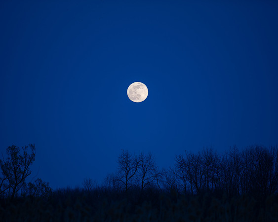 Moon rising