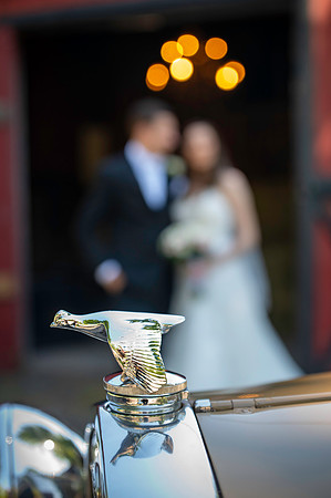Weddings